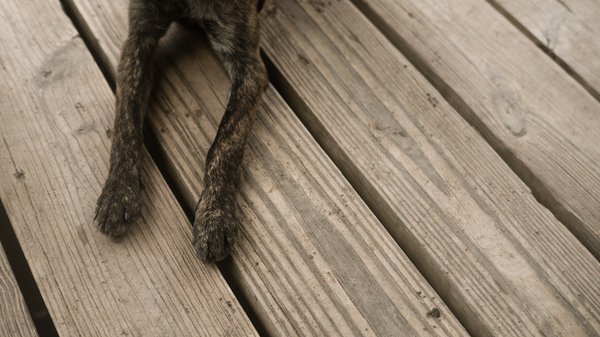 Comment installer un plancher chauffant électrique dans une salle de bain carrelée ?